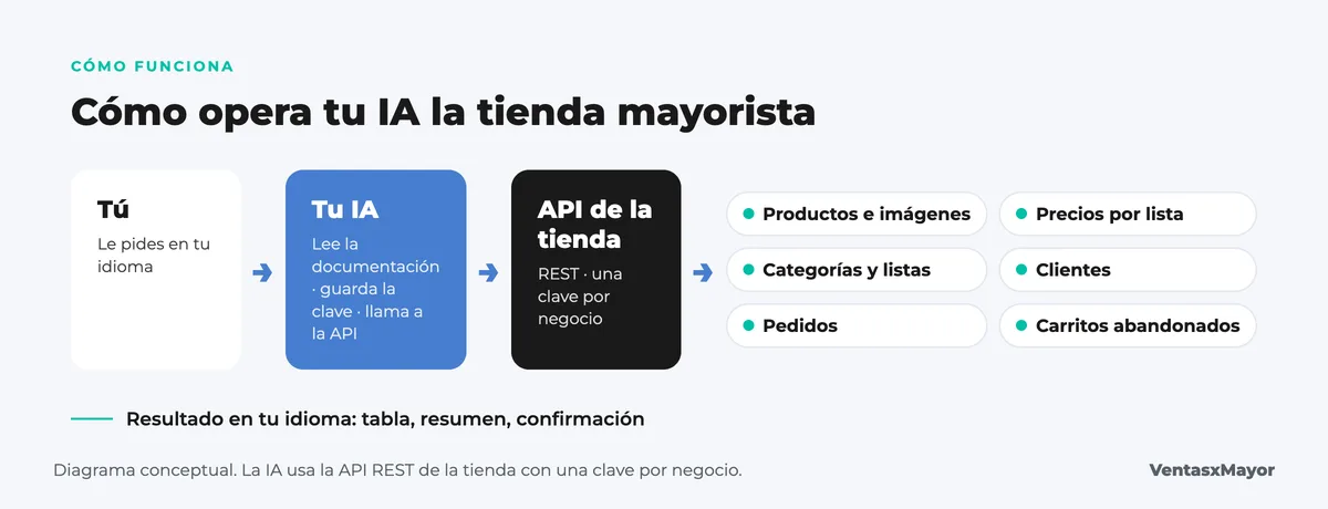 Diagrama: cómo opera la IA la tienda mayorista; el dueño pide en su idioma, la IA lee la documentación y llama a la API de la tienda, y toca productos, precios por lista, categorías, clientes, pedidos y carritos abandonados